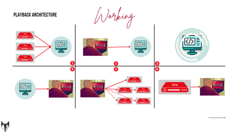 Playback Architecture of Netflix