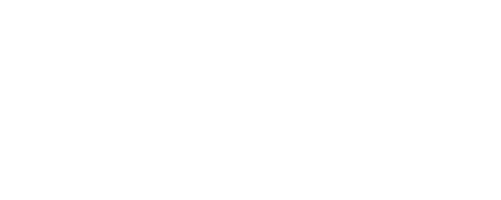 Nickelfox Logo